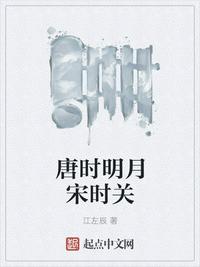 唐时明月宋时关 最新