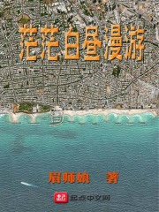 茫茫白昼漫游评价