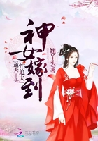逆天丫头忙追夫