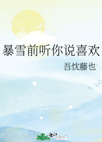 暴雪前听你说喜欢小说