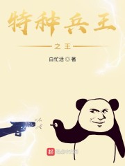 特种兵王合集