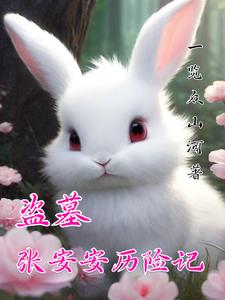 盗墓张安安历险记 一览众山河