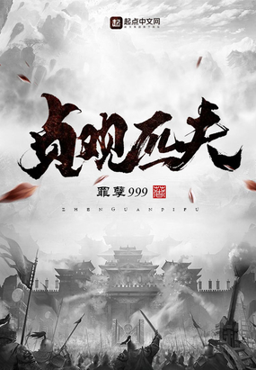 贞观匹夫免费txt下载