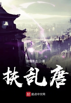 扶乱唐同类小说