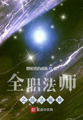 小说全职法师之