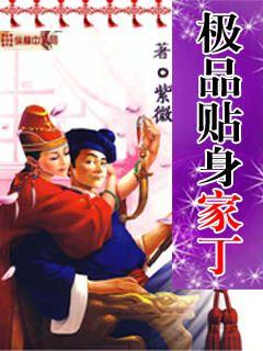 极品贴身家丁TXT下载
